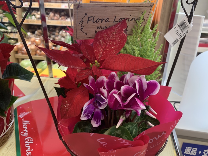 ライフ香里園店 痒い所に手が届く 11月21日 いいねいいねドットコム 東部大阪エリア 地域スーパー情報サイト