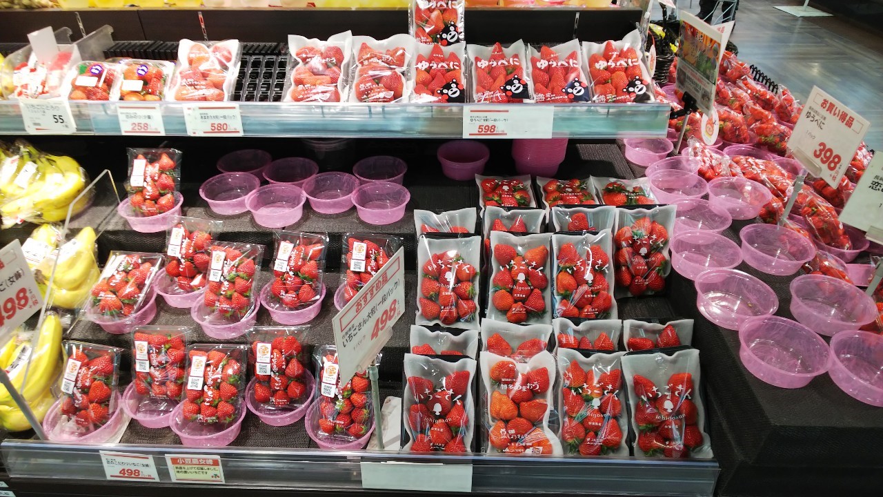 ☆イズミヤ枚方店☆引きこもりライフを楽しむために！【3月15日】 いい