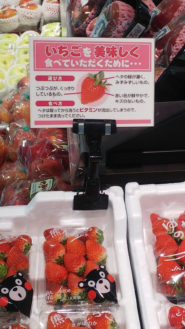 いちこページ 3ab8f58055dad4395a5b921566f39e