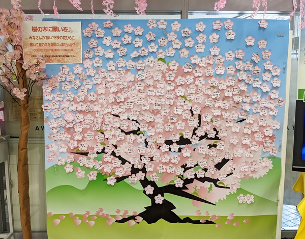 ★イズミヤ寝屋川店★桜の木に願いを♪みなさ…の画像