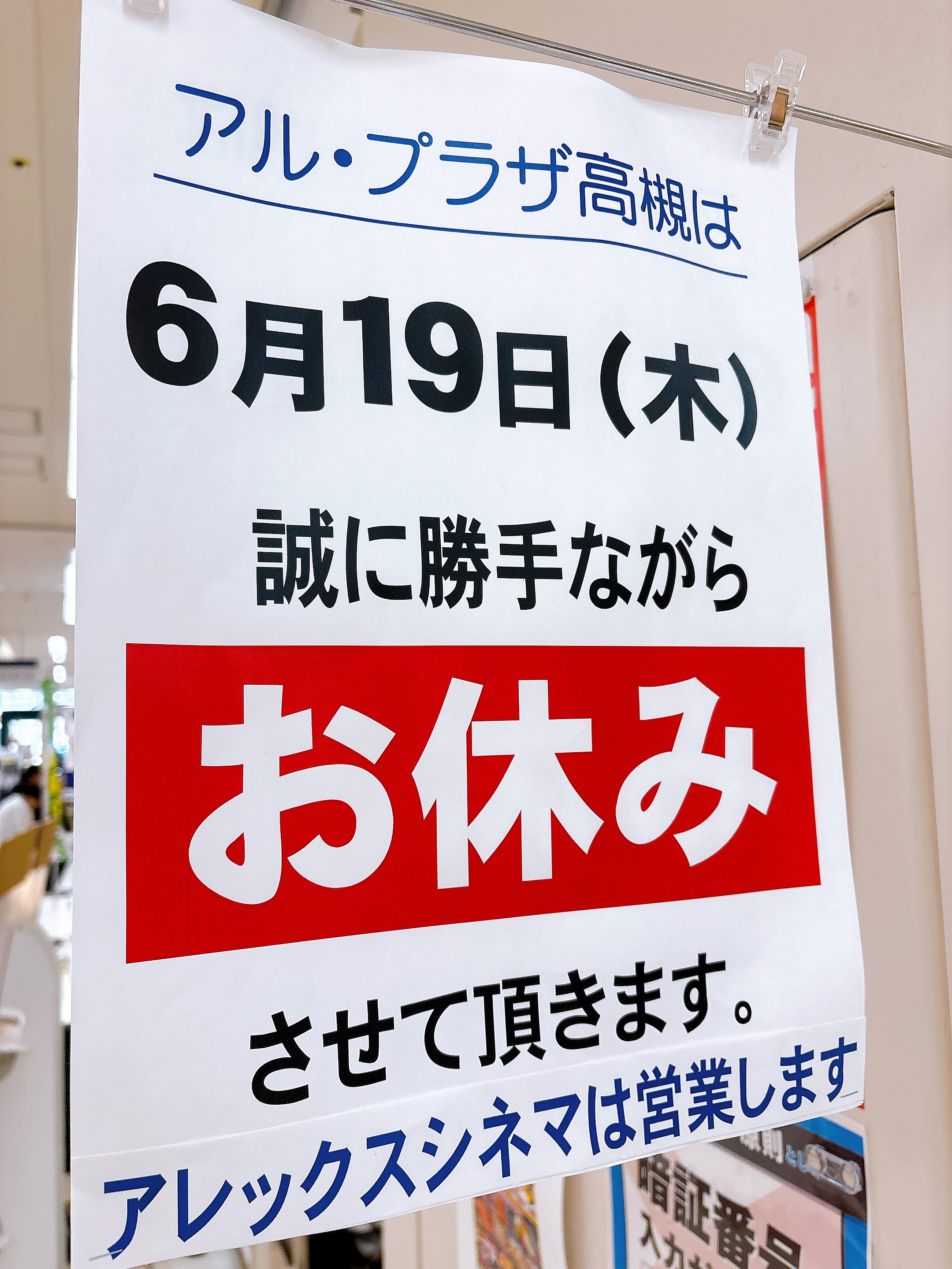 2023年フサアカシア受付3月24日で終了 ☆アルプラザ高槻☆定休日のご案内 いいねいいねドットコム 北大阪